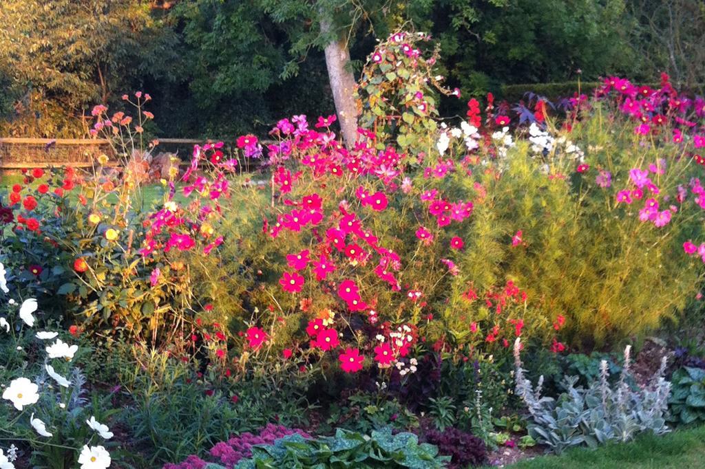 Gunville House B&B Grateley Bagian luar foto